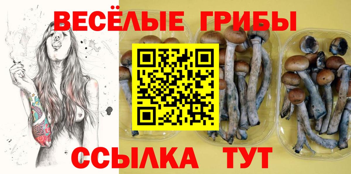 Оренбург  Галлюциногенные грибы Magic Shrooms  Вход с VPN 